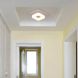 Tyalez Modern Square Acrylic Led Hallway Ceiling Light