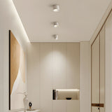 Tyalez Minimalist Aluminum LED Ceiling Downlights For Hallway