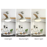Tyalez Modern Simple Flush Ceiling Fan With LED Lighting