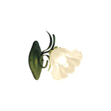 Vintage Lily of the Valley Wall Light