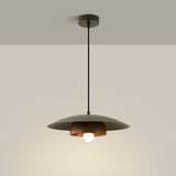 Tyalez Modern Dome Designer Metal Pendant Light