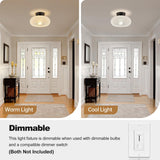Tyalez Modern Round Glass Living Room Ceiling Lights