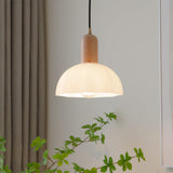 Tyalez Retro Creative Glass Shade Pendant Light For Bedroom