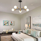 Modern Minimalist Black Chandelier for Bedroom Lighting