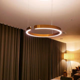 Tyalez Modern Simple Ring Chandelier