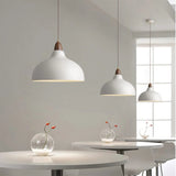 Tyalez Modern Creative Pot-Shaped Pendant Light