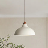 Tyalez Modern Creative Pot-Shaped Pendant Light