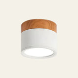 Tyalez Nordic Cylinder LED Hallway Ceiling Lights