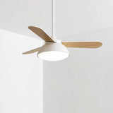 Tyalez Modern Simple Flush Ceiling Fan With LED Lighting
