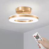 Energy-Efficient Modern Iron LED Ceiling Light