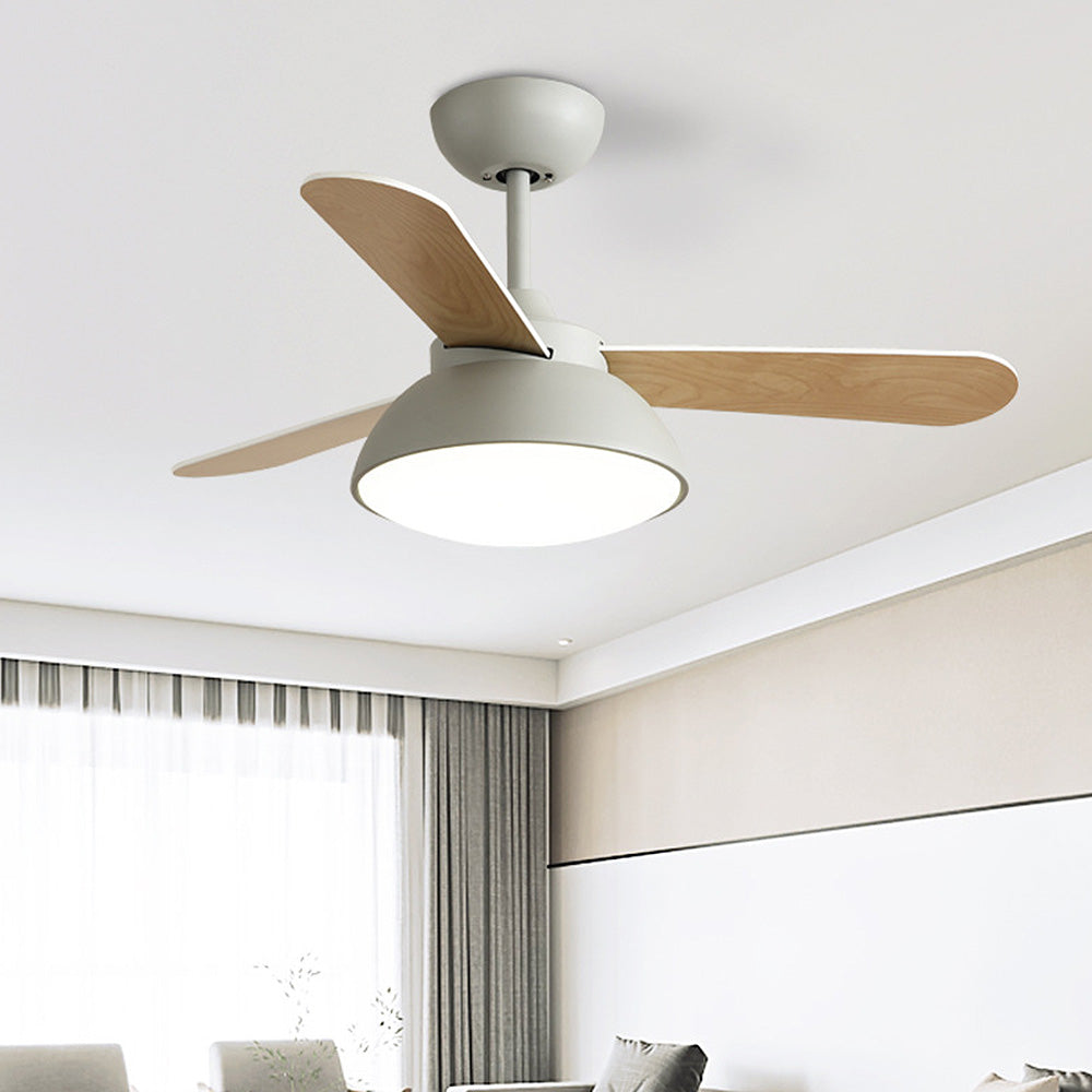 Tyalez Modern Simple Flush Ceiling Fan With LED Lighting