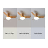 Natural Wood Stylish Ceiling Fan With LED Light