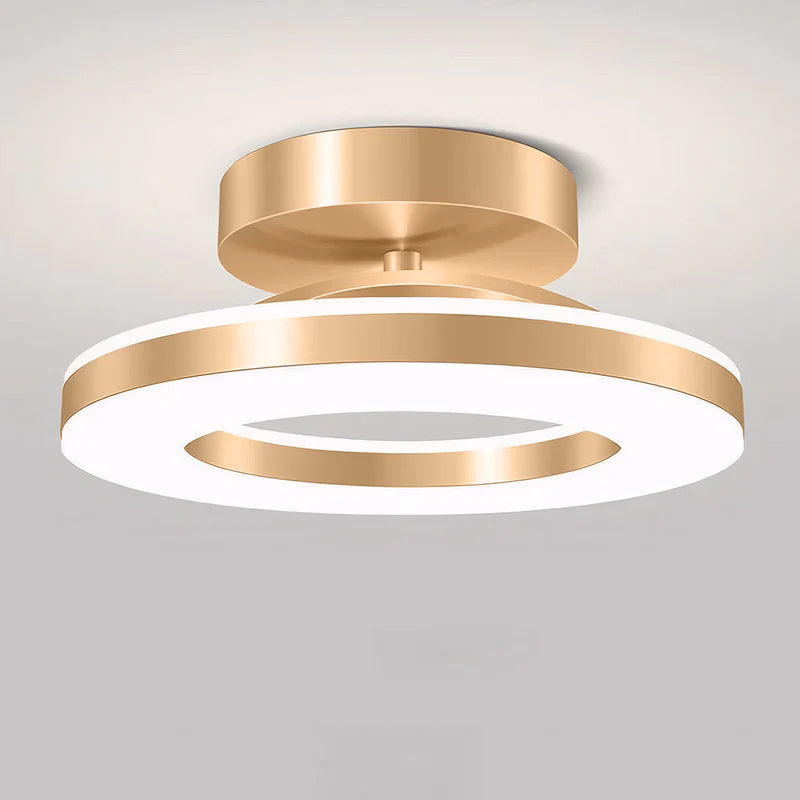 Energy-Efficient Modern Iron LED Ceiling Light