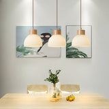 Tyalez Creative Bowl-shaped Glass Bedroom Pendant Lamp Fixtures
