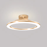 Energy-Efficient Modern Iron LED Ceiling Light