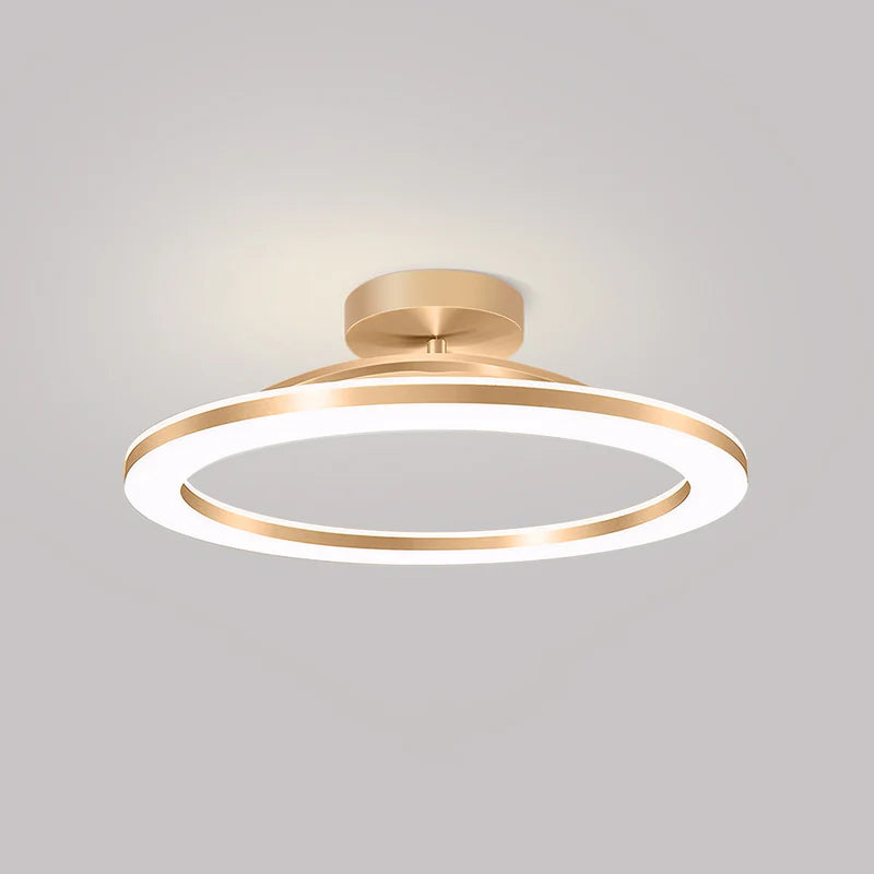 Energy-Efficient Modern Iron LED Ceiling Light