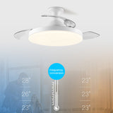 Simple Low Profile Ceiling Fan With LED Light