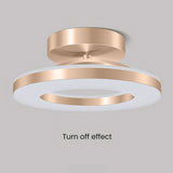 Energy-Efficient Modern Iron LED Ceiling Light