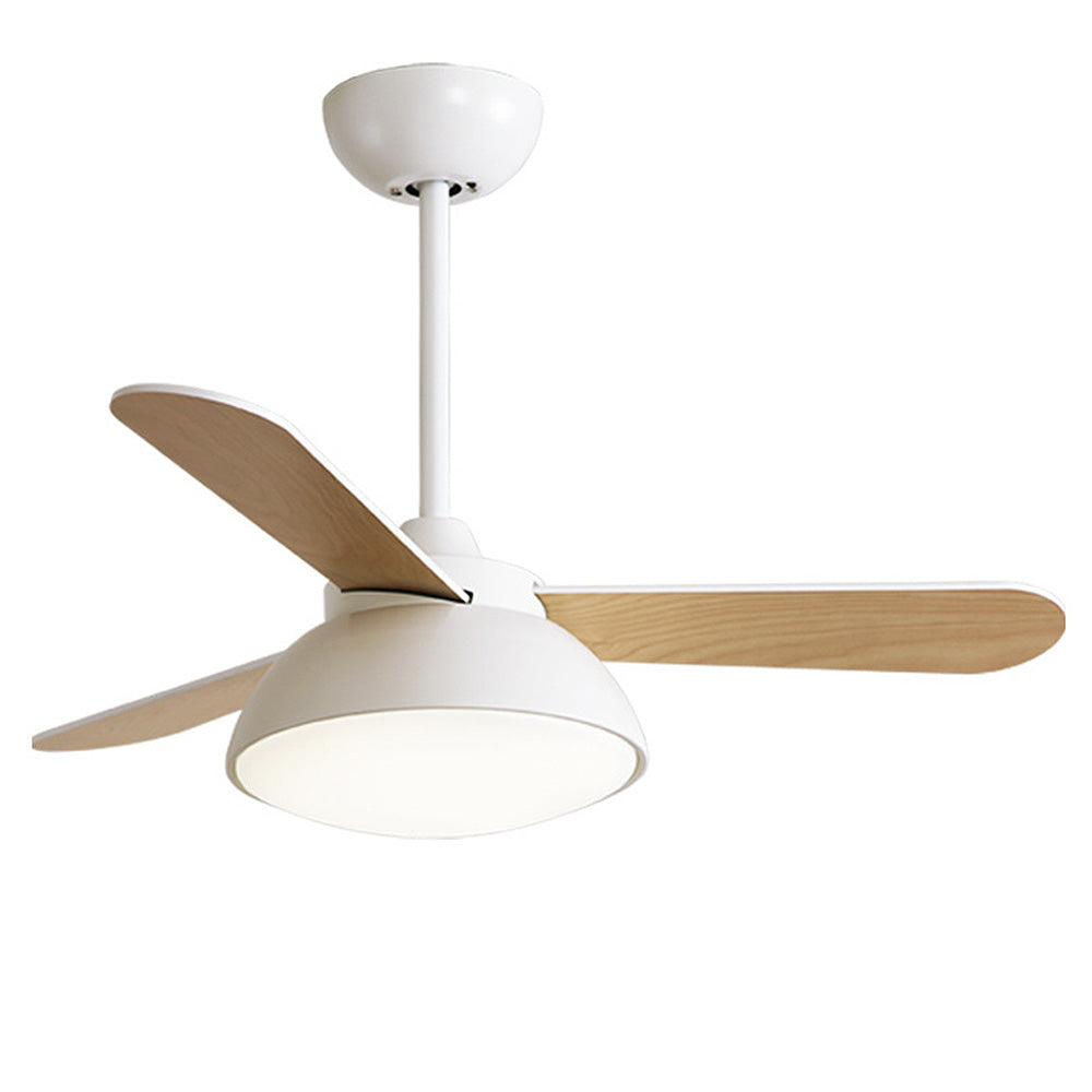 Tyalez Modern Simple Flush Ceiling Fan With LED Lighting