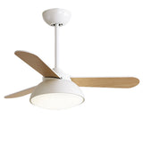 Tyalez Modern Simple Flush Ceiling Fan With LED Lighting