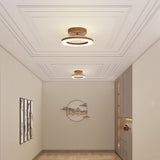 Tyalez Contemporary LED Hallway Ceiling Light