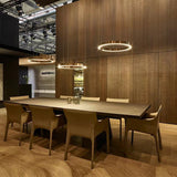 Tyalez Modern Simple Ring Chandelier
