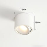 Tyalez Minimalist Aluminum LED Ceiling Downlights For Hallway