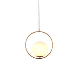 Tyalez Modern Frosted Glass Ball Chandelier