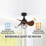 Tyalez Mid-Century Contemporary Dark Walnut Ceiling Fans With Lighting