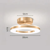 Energy-Efficient Modern Iron LED Ceiling Light