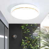 Tyalez Sleek Round LED Ceiling Light for Modern Living Rooms