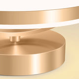 Energy-Efficient Modern Iron LED Ceiling Light