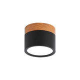 Tyalez Nordic Cylinder LED Hallway Ceiling Lights