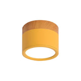 Tyalez Nordic Cylinder LED Hallway Ceiling Lights