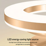 Energy-Efficient Modern Iron LED Ceiling Light