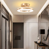 Energy-Efficient Modern Iron LED Ceiling Light