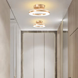Energy-Efficient Modern Iron LED Ceiling Light