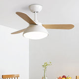 Tyalez Modern Simple Flush Ceiling Fan With LED Lighting