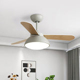 Tyalez Modern Simple Flush Ceiling Fan With LED Lighting