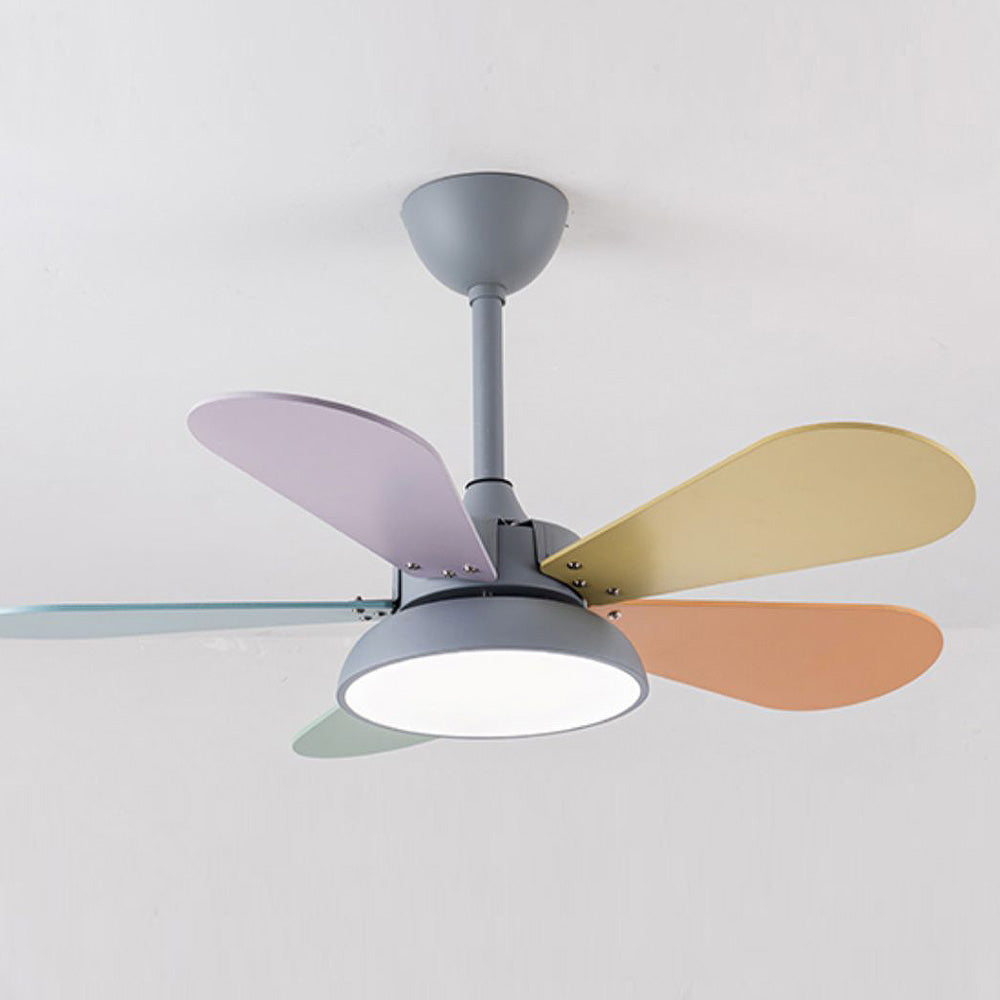 Tyalez Macaron Colorful Round Ceiling Fan With LED Light