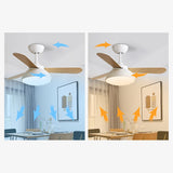 Tyalez Modern Simple Flush Ceiling Fan With LED Lighting