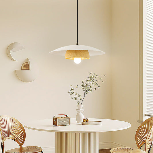 Tyalez Modern Dome Designer Metal Pendant Light