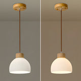 Tyalez Creative Bowl-shaped Glass Bedroom Pendant Lamp Fixtures