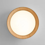 Modern Minimalist LED Round Ceiling Lamp