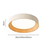 Modern Minimalist LED Round Ceiling Lamp