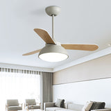 Tyalez Modern Simple Flush Ceiling Fan With LED Lighting