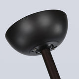 Tyalez Contemporary Coffee Glass Ceiling Fans With Lights