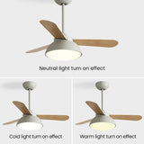 Tyalez Modern Simple Flush Ceiling Fan With LED Lighting