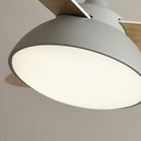 Tyalez Modern Simple Flush Ceiling Fan With LED Lighting