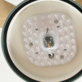 Tyalez Modern Simple Flush Ceiling Fan With LED Lighting